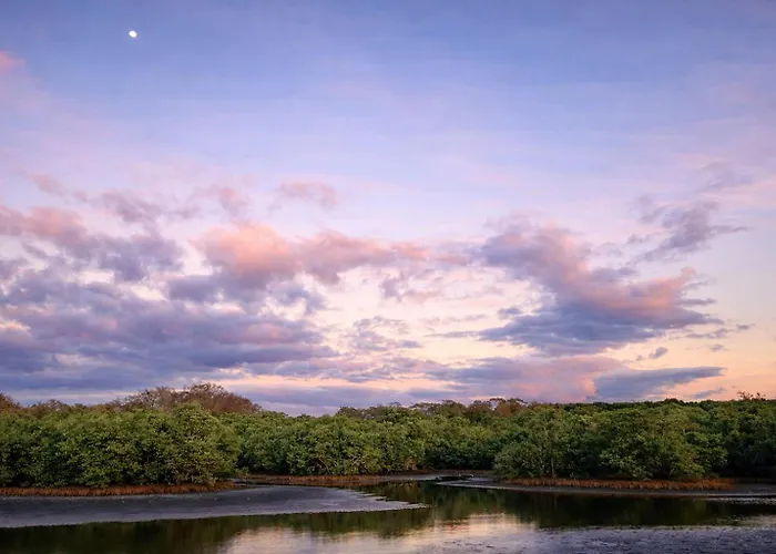 Ecos Del Manglar *